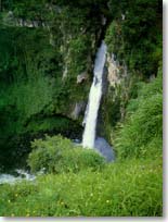Xico Veracruz